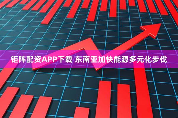 钜阵配资APP下载 东南亚加快能源多元化步伐
